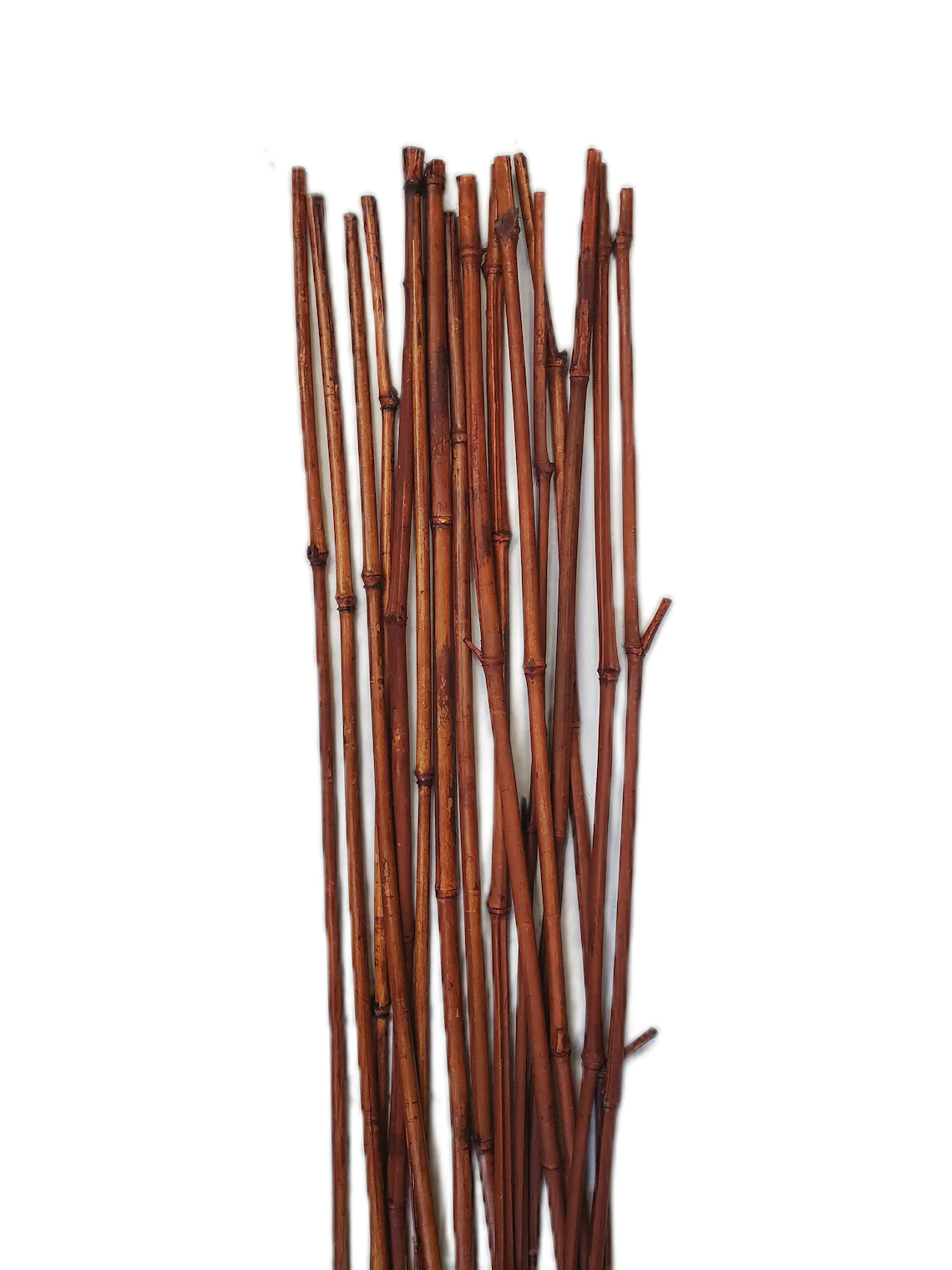 Brown Bamboo Stakes Brown Bamboo Stakes