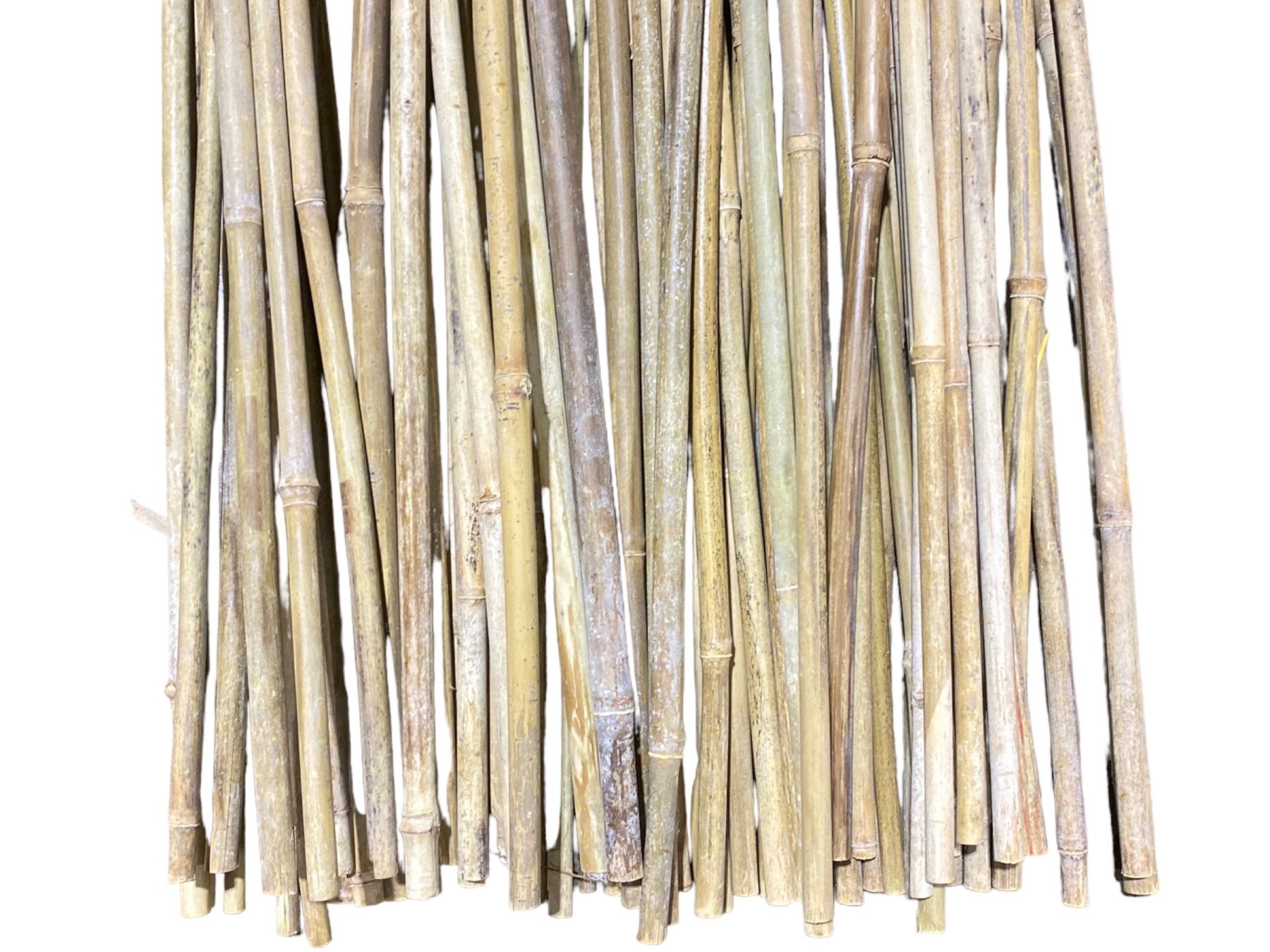 Thick Beige Bamboo Thick Beige Bamboo Poles