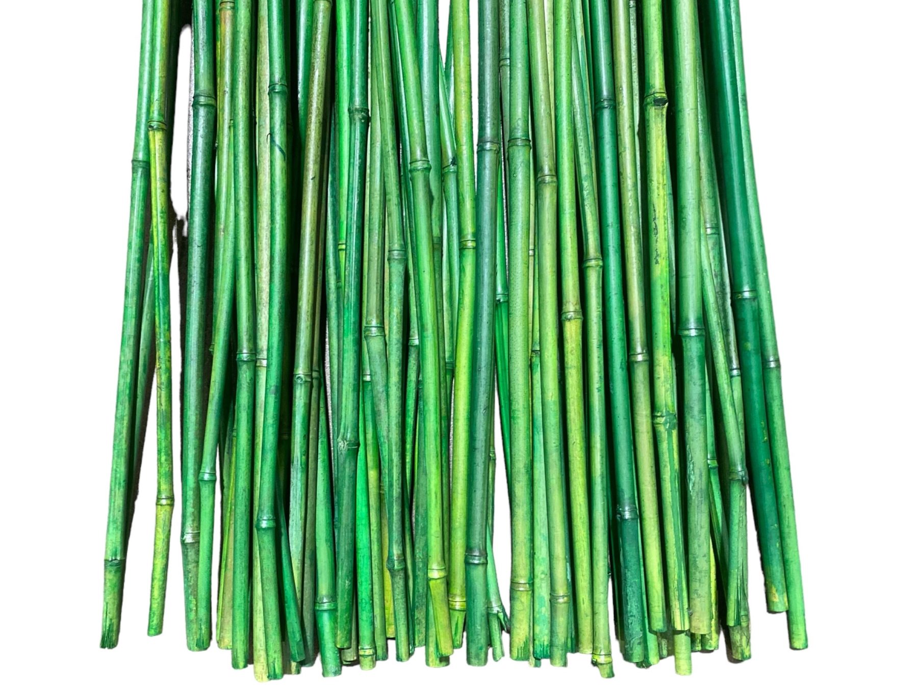 Thick Green Bamboo Thick Green Bamboo